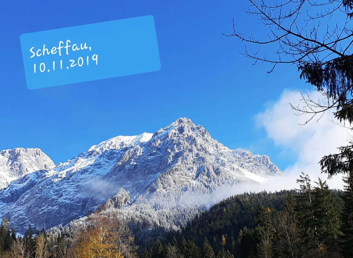 Casa Vierthaler Apartamento Scheffau am Wilden Kaiser Exterior foto